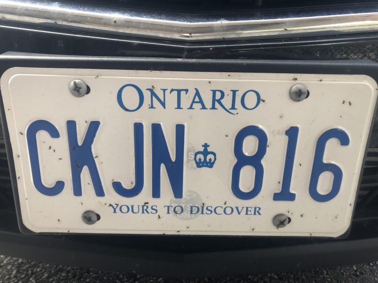 Ontario going back to white “Yours to Discover” licence plates