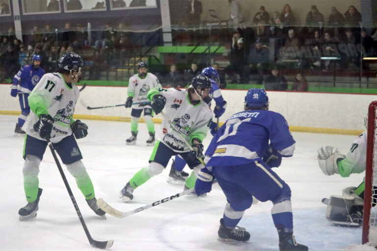 Espanola Paper Kings outskate the Cubs